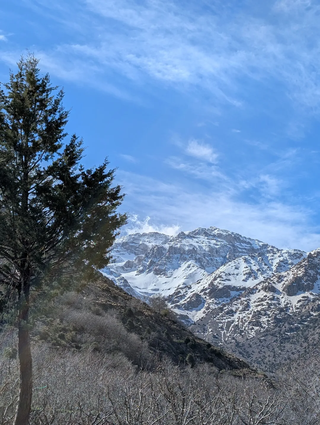 Image description